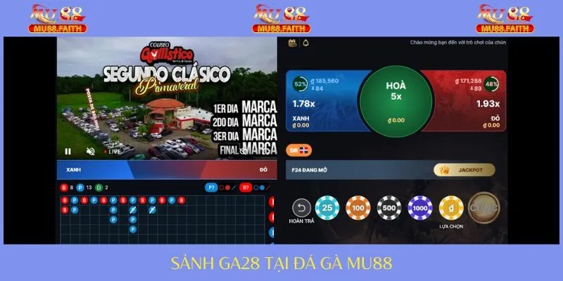 ĐÁ GÀ 2 GA28 gây sốt về kèo cược