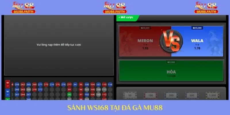 ĐÁ GÀ 1 Đá gà cực chất với WS168